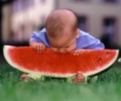 baby_eat_watermelon